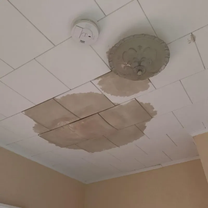 Ceiling Water Damage Repair in Neuse Forest, NC