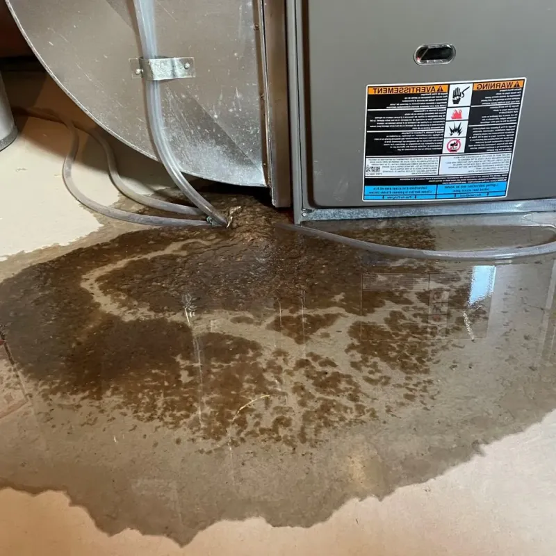 Pipe Burst and Leak Restoration in Neuse Forest, NC